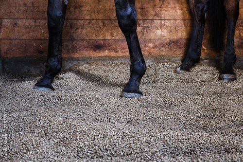  pellets as a lining for horses