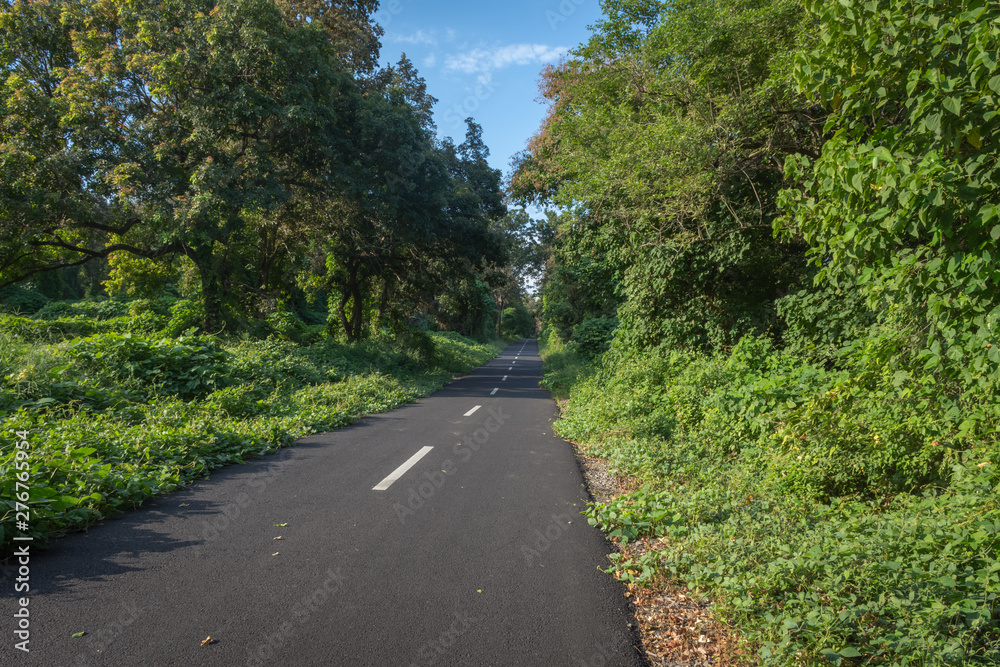 An asphalt road with the beautiful surrounding nature on Baluran. Baluran National Park is a forest preservation area that extends about 25.000 ha on the north coast of East Java, Indonesia.