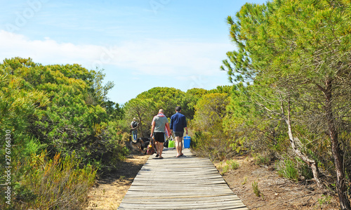 Two men walking on a wooden path among pine trees in the Cuesta Maneli Natural Area within the Doñana National Park in the province of Huelva, Andalusia, Spain
