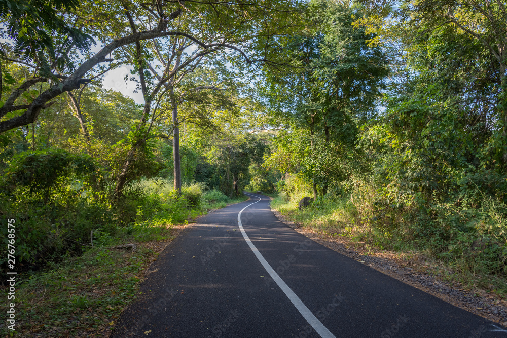 An asphalt road with the beautiful surrounding nature on Baluran. Baluran National Park is a forest preservation area that extends about 25.000 ha on the north coast of East Java, Indonesia. An asphalt road with the beautiful surrounding nature on Baluran. Baluran National Park is a forest preservation area that extends about 25.000 ha on the north coast of East Java, Indonesia.