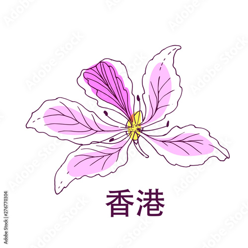 Vector hand drawn illustration of Bauhinia variegata, national Hong Kong flower and chinese hieroglyphs Hong Kong, isolated on white.