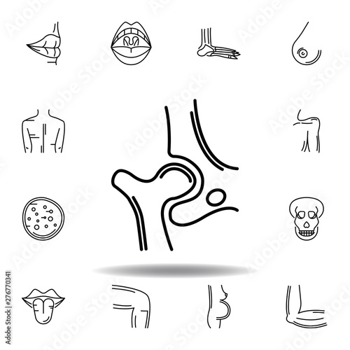 set of human organs hip bone outline icon. Signs and symbols can be used for web, logo, mobile app, UI, UX