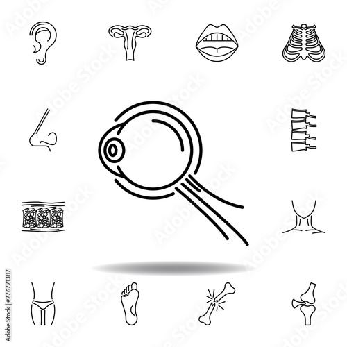 set of human organs eyeball structure outline icon. Signs and symbols can be used for web, logo, mobile app, UI, UX