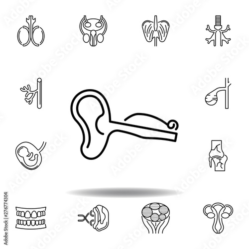set of human organs ear outline icon. Signs and symbols can be used for web, logo, mobile app, UI, UX