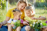 Young children in yellow playing with mom in the garden on a sunny day. They help to plant sprouts and take care of nature. Sisters are smiling and hugging their mother. Happy family