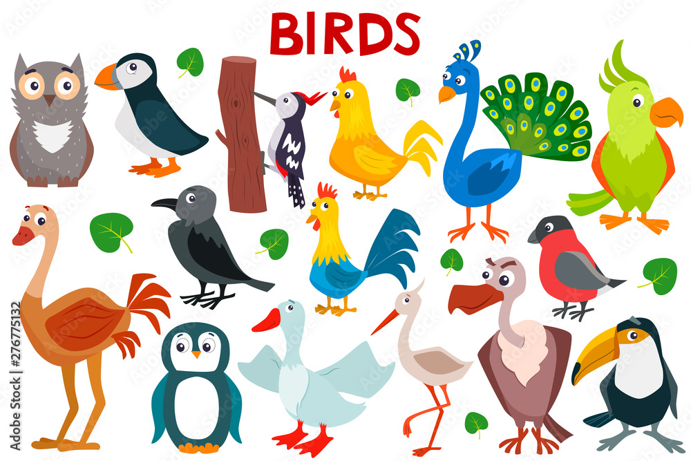Fototapeta premium Set of cute cartoon birds. Vector flat illustration.