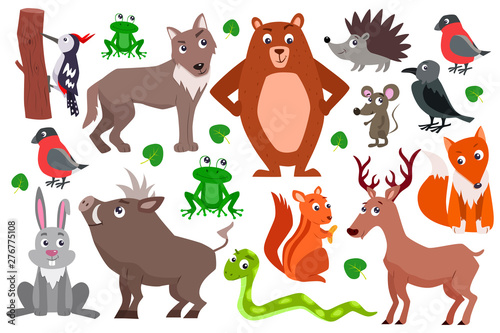 Set of cute cartoon forest animals. vector flat illustration.
