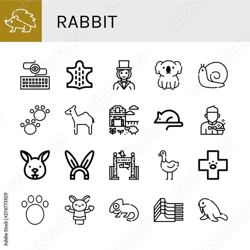 Set of rabbit icons such as Hedgehog, Keylogger, Animal, Magician, Koala, Snail, Camel, Sheep farm, Animal testing, Bunny, Rabbit, Zoo, Ostrich, Veterinary, Hand puppet , rabbit