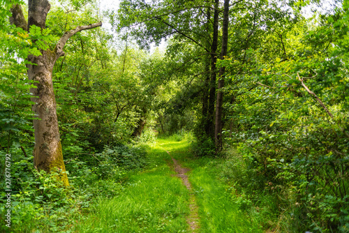 Viele verschiedene eindr  cke vom Werderland in Bremen