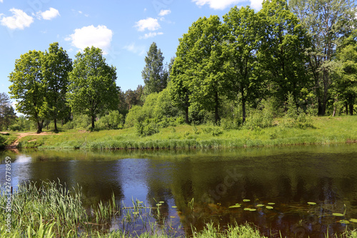 Summer landscape with river, horizontal picture