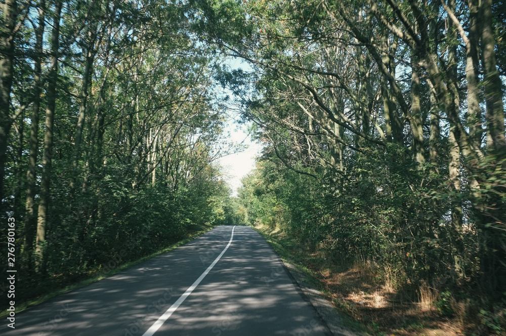 Naklejka premium Quiet roads and almost forgotten places of Nizky Jesenik