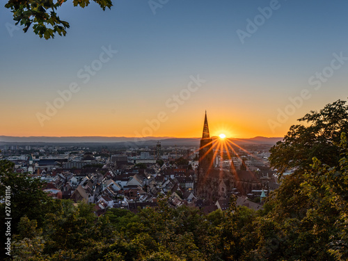 Freiburger Münster