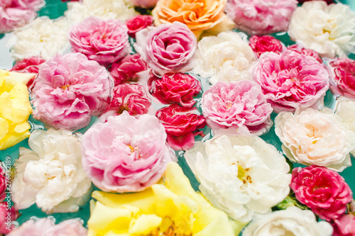 Awesome floral texture of colorful roses in water on blue background