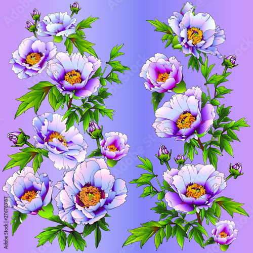 Lush shrubs of tree peonies (Paeonia) are incredibly beautiful and fragrant.