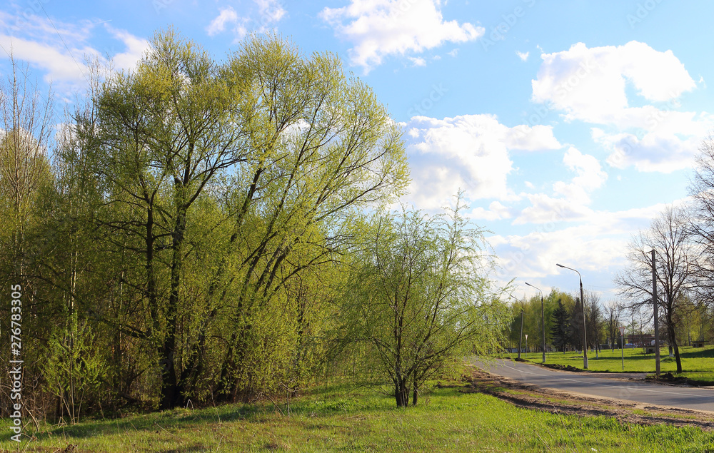 Spring landscape on a sunny day. Empty city asphalt road in the town on a spring day