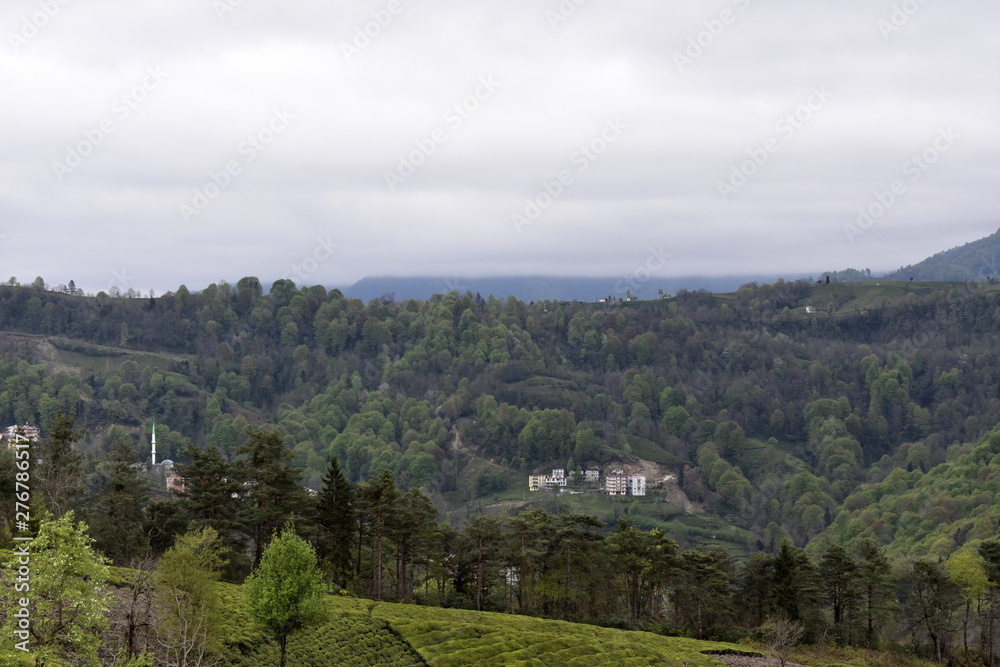 panorama of mountains with trees and clouds