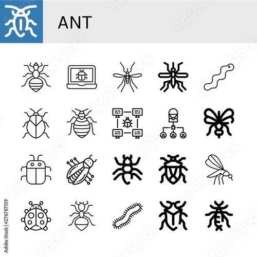 Set of ant icons such as Cockroach, Louse, Bug, Mosquito, Worm, Stink bug, Bed bug, Ant, Ladybug, Centipede, Earwig , ant
