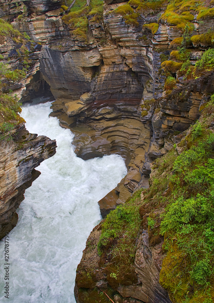 Obraz premium Waterfall surrounded by nature and wildlife. Rocky mountain ( Canadian Rockies ), Athabasca Falls. Portrait, fine art. Near Jasper, Yoho and Banff National Park. Alberta, Canada: August 4, 2018