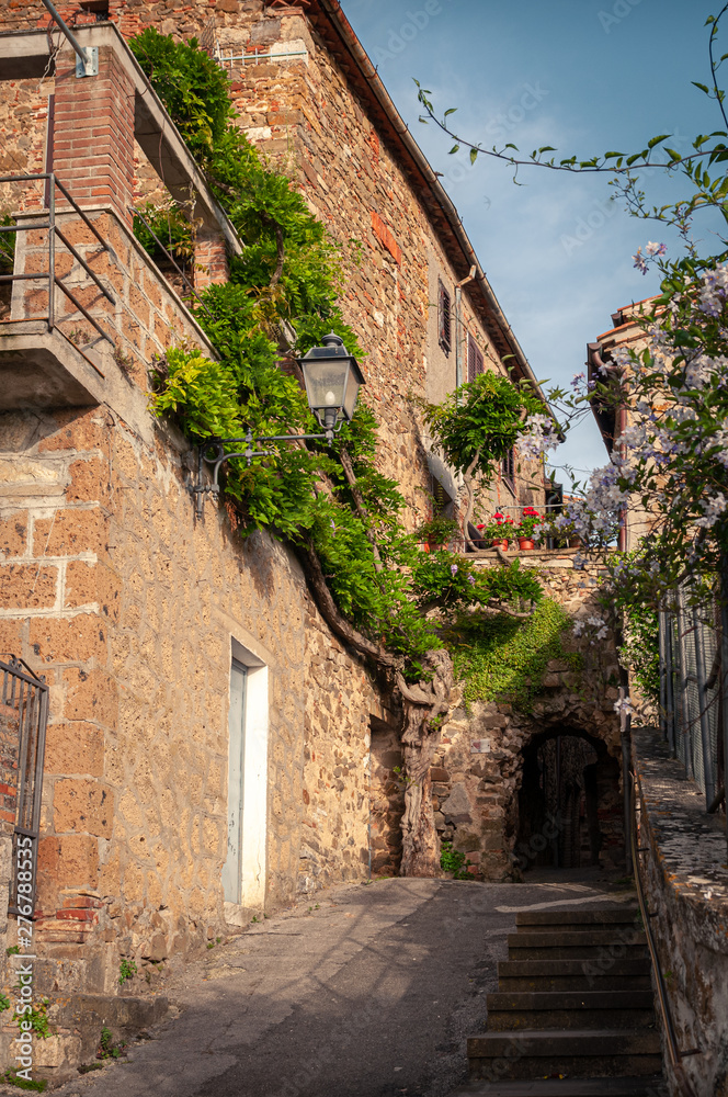 Tuscany. Entrance to the ancient village of Montemerano. Ancient stone and brick building with a wisteria plant all along the wall. Alley that passes under a stone arch.