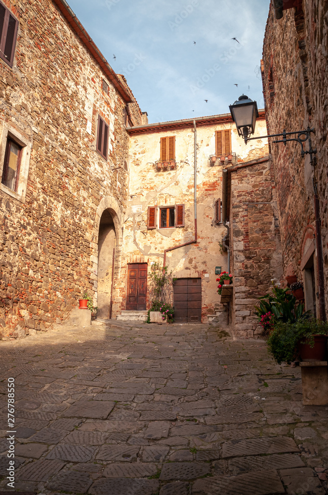 Montemerano, Tuscany. View of one of the inner lanes of the small medieval village with stone paving. Swallows flying in the sky