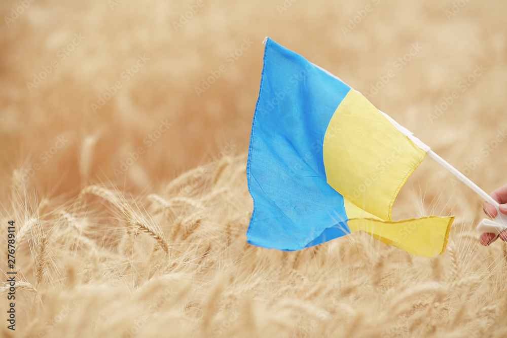 Hand with a blue and yellow flag . Ukraine's Independence Day foto de