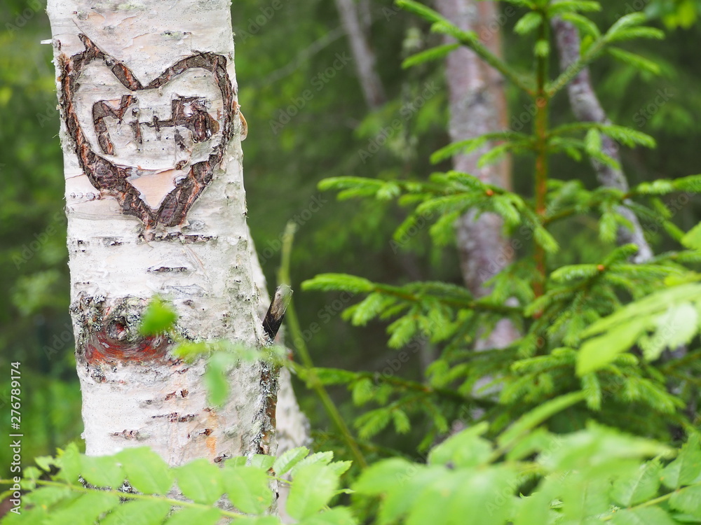 Obraz premium OLYMPUS DIGITAL CAMERA