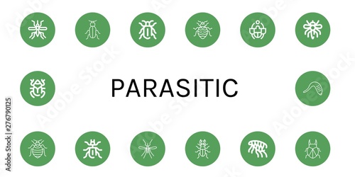 Set of parasitic icons such as Mosquito, Beetle, Bed bug, Flea, Leech , parasitic