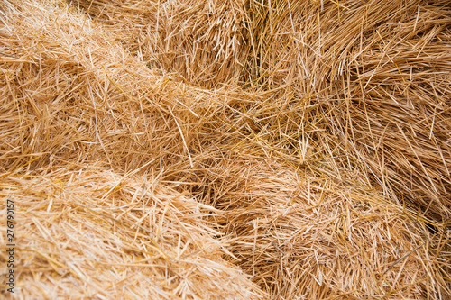 Storage with piles of stacks of hay