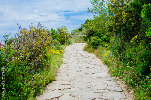 Long stone road. © alurk