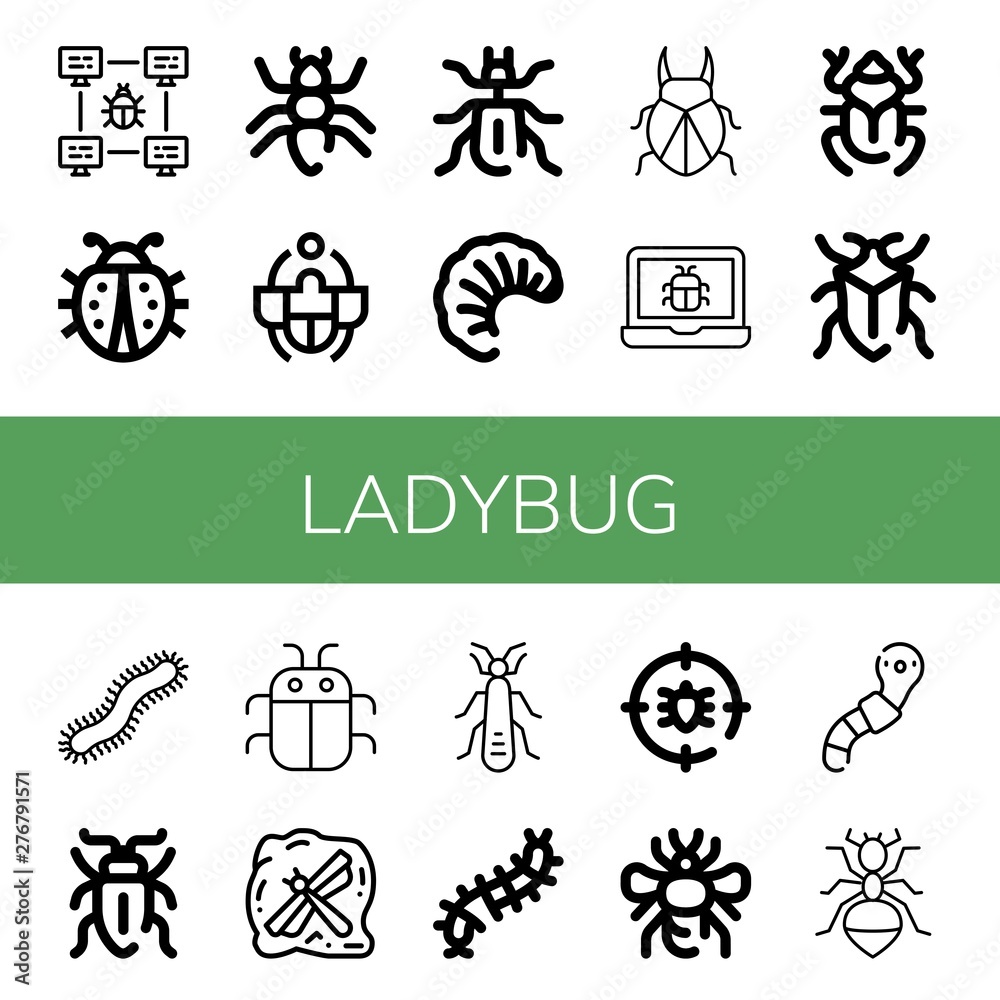 Set of ladybug icons such as Bug, Ladybug, Ant, Beetle, Larva, Centipede, Sap beetle, Insect, Stonefly, Scolopendra, Anti bug, Bumblebee, Worm , ladybug Set of ladybug icons such as Bug, Ladybug, Ant, Beetle, Larva, Centipede, Sap beetle, Insect, Stonefly, Scolopendra, Anti bug, Bumblebee, Worm , ladybug