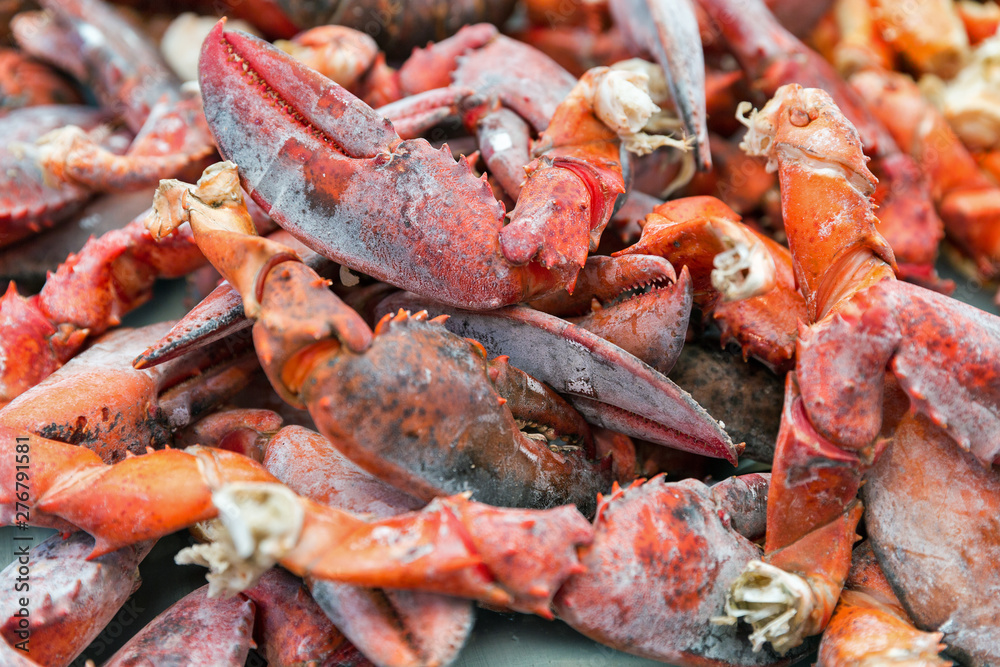 cooked lobster claws closeup background cooked lobster claws closeup background