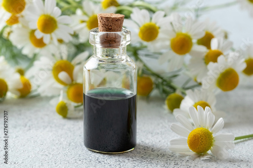 A bottle of dark blue chamomile essential oil and flowers