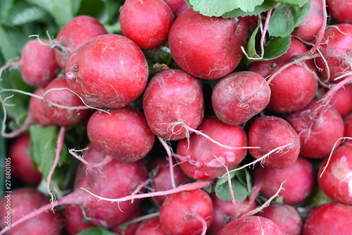 Bunch of red radishes in the market. Full frame of red radish. Food concept baner, poster.