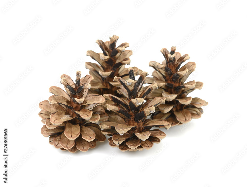 Brown pine cones isolated on white background. Brown pine cones isolated on white background.