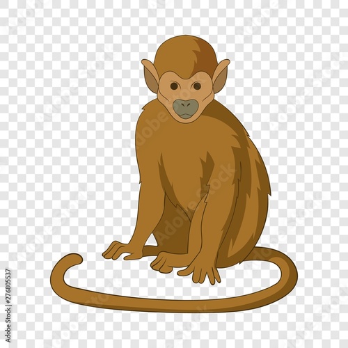 Snub nosed monkey icon. Cartoon illustration of snub nosed monkey vector icon for web