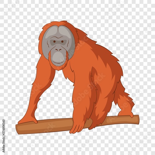 Orangutan icon. Cartoon illustration of orangutan vector icon for web