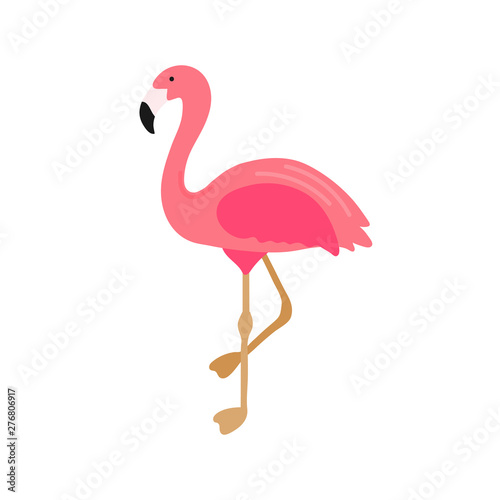 Pink flamingo illustration isolated on white background. Hand drawn cute flamingo. Exotic tropical bird. Summer design element for print  t-shirt  poster  textile  card. Vector illustration