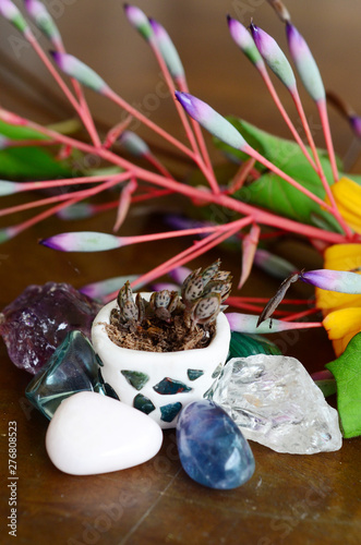 Mother of Thousands pups, baby plantlets in handmade ceramic pot. Miniature terrarium decoration with a collection of healing crystals. Aqua, Ametrine, Clear Quartz, and Fluorite. Beautiful colors photo