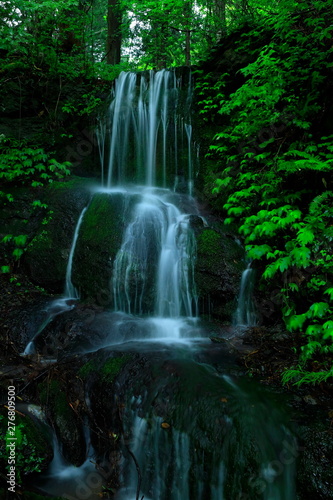 夏の小滝さん © yspbqh14
