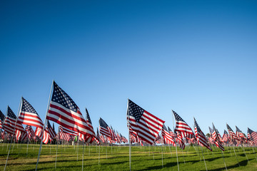 A large group of American flags. Veterans or Memorial day display