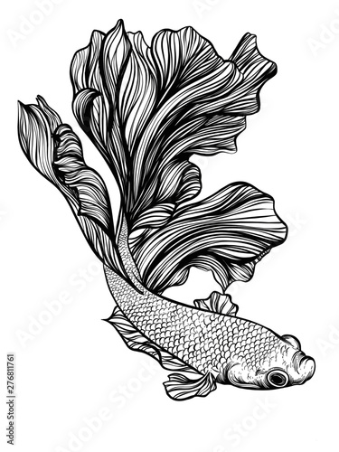 pez betta