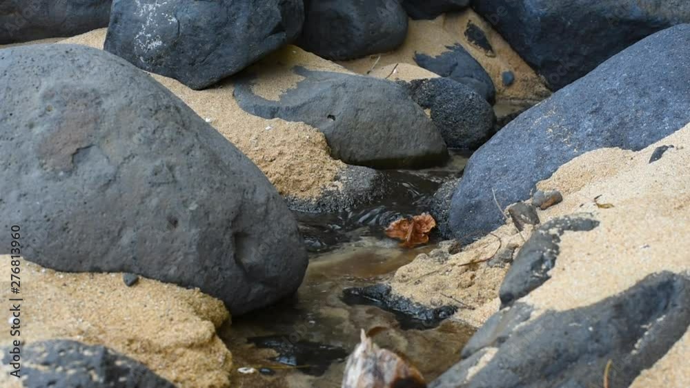 Fixed close up on a small stream of fresh water running down a fine sand beach with black volcanic rock. Fixed close up on a small stream of fresh water running down a fine sand beach with black volcanic rock.