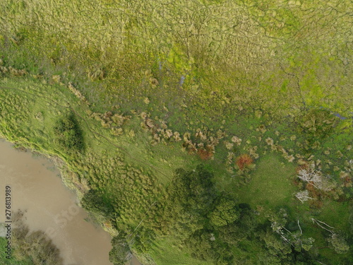 Overhead view of wetland with river at one corner