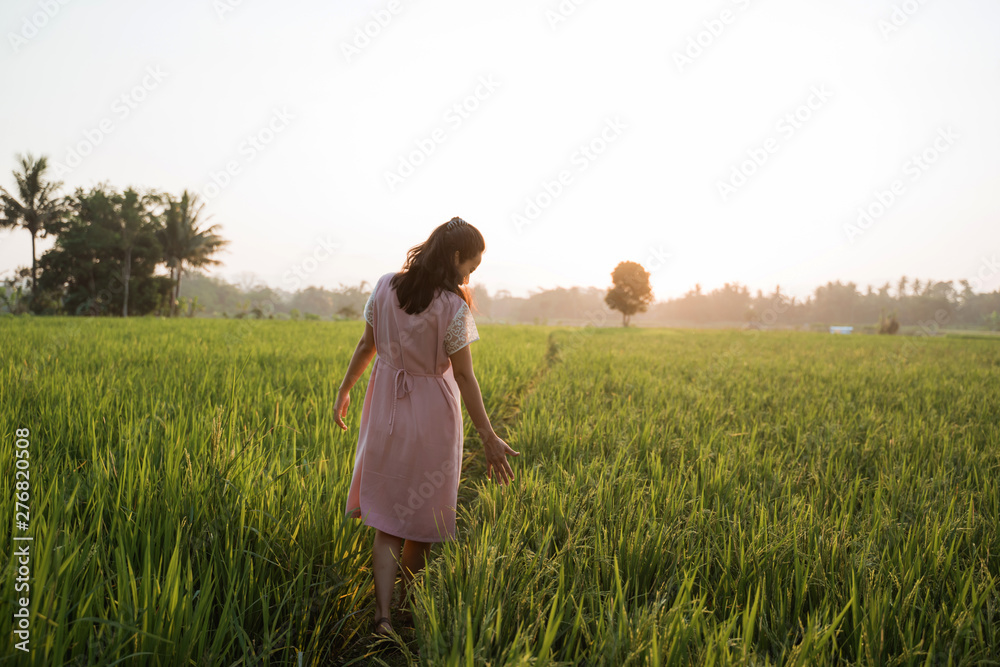 asian woman walking on a rice field enjoy her time in nature asian woman walking on a rice field enjoy her time in nature