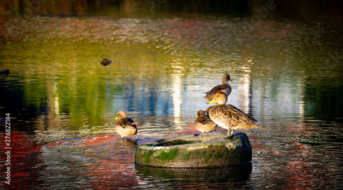 Foto Naturaleza contaminada