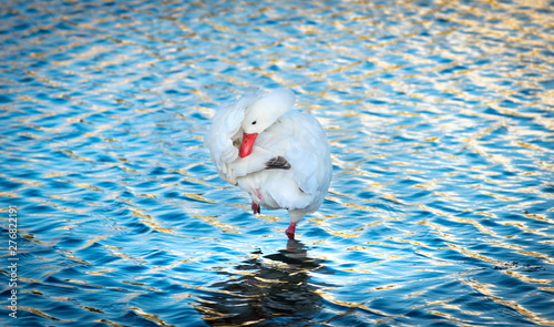 Equilibrio espiritual photo