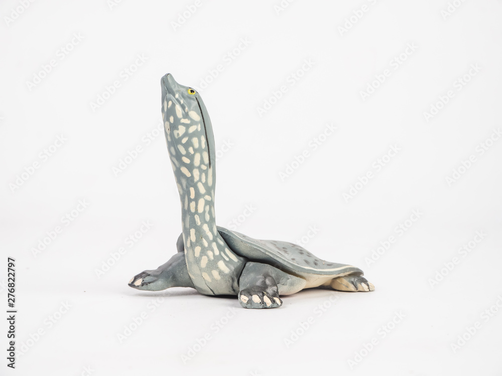 Obraz premium turtle on white background