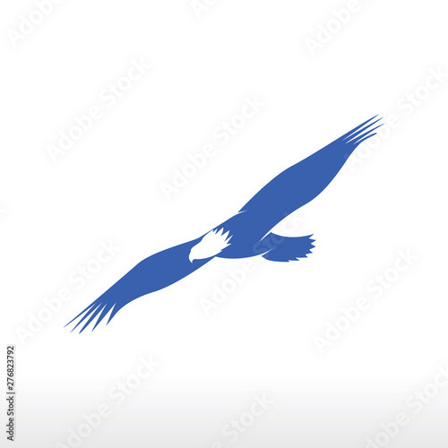 flying eagle logo design concept