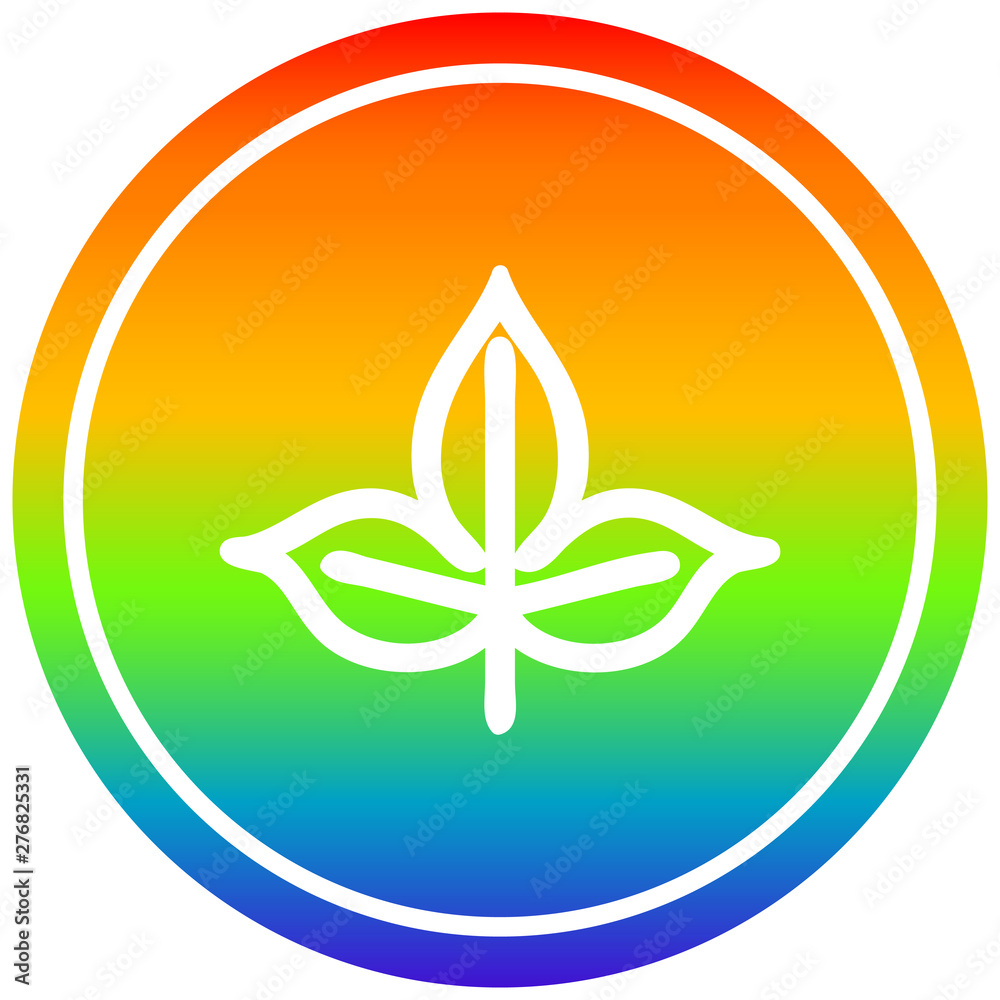 natural leaf circular in rainbow spectrum natural leaf circular in rainbow spectrum