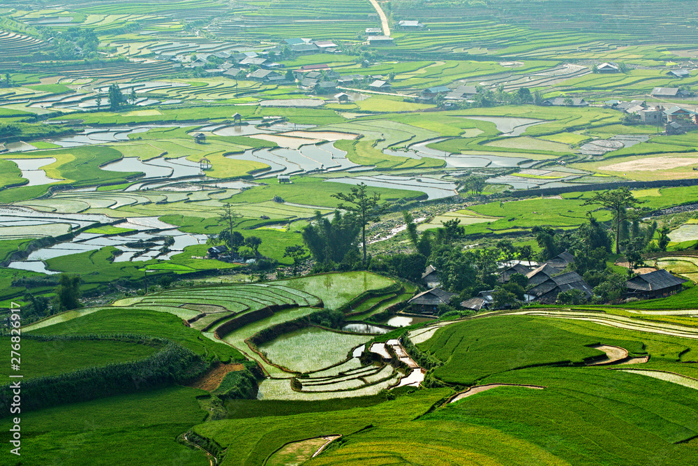 Nice landscape of terraced fields in Mu Cang Chai, Vietnam in rice planting season.  D